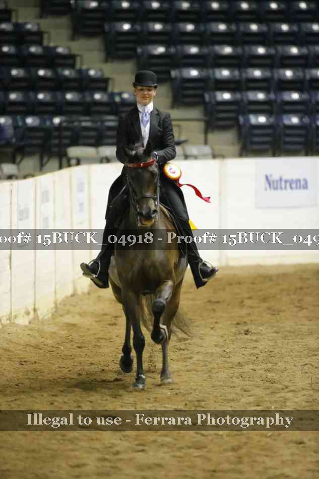Proof 15BUCK_04918