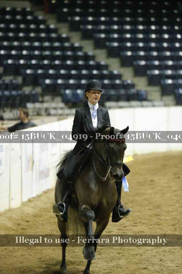 Proof 15BUCK_04919