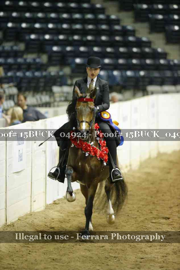 Proof 15BUCK_04924