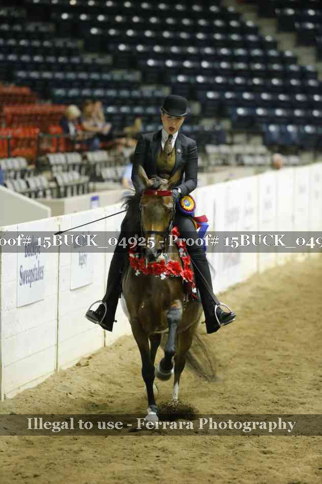 Proof 15BUCK_04925