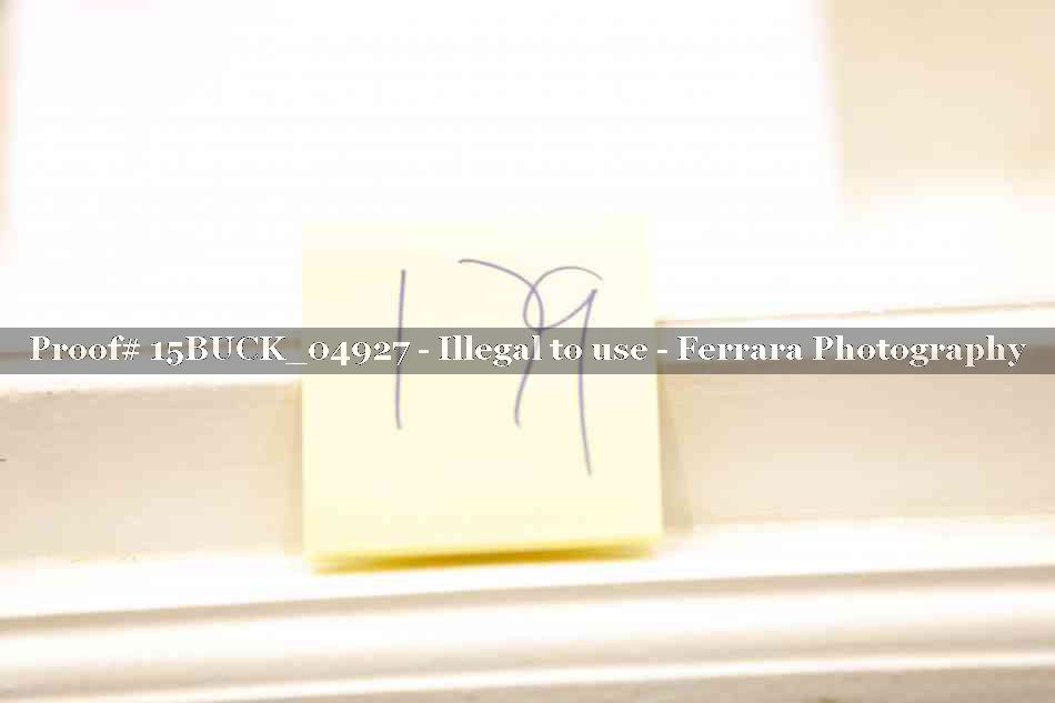 Proof 15BUCK_04927