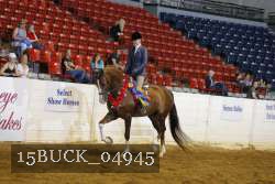 15BUCK_04945 proof