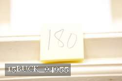 15BUCK_04955 proof