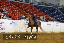 15BUCK_04960 proof