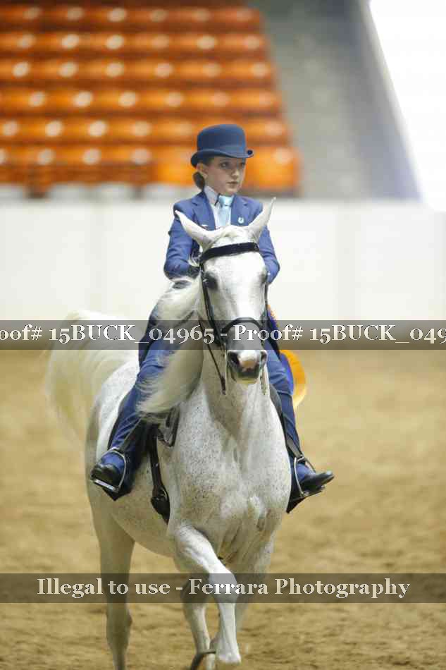 Proof 15BUCK_04965