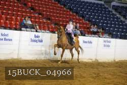 15BUCK_04966 proof