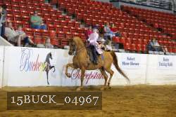 15BUCK_04967 proof