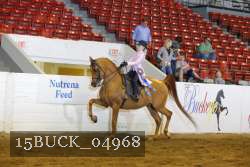 15BUCK_04968 proof