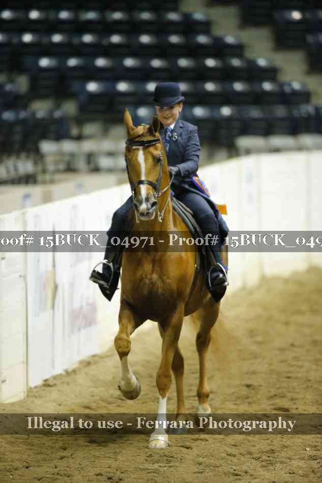 Proof 15BUCK_04971