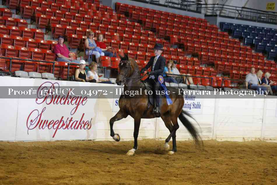 Proof 15BUCK_04972
