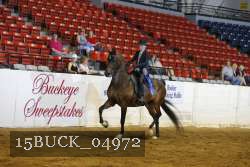 15BUCK_04972 proof