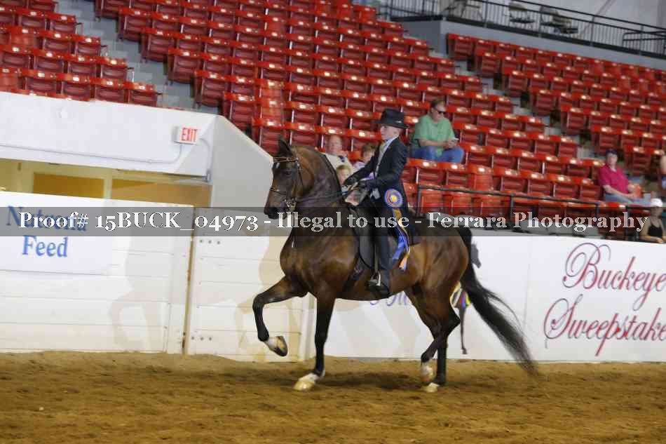 Proof 15BUCK_04973