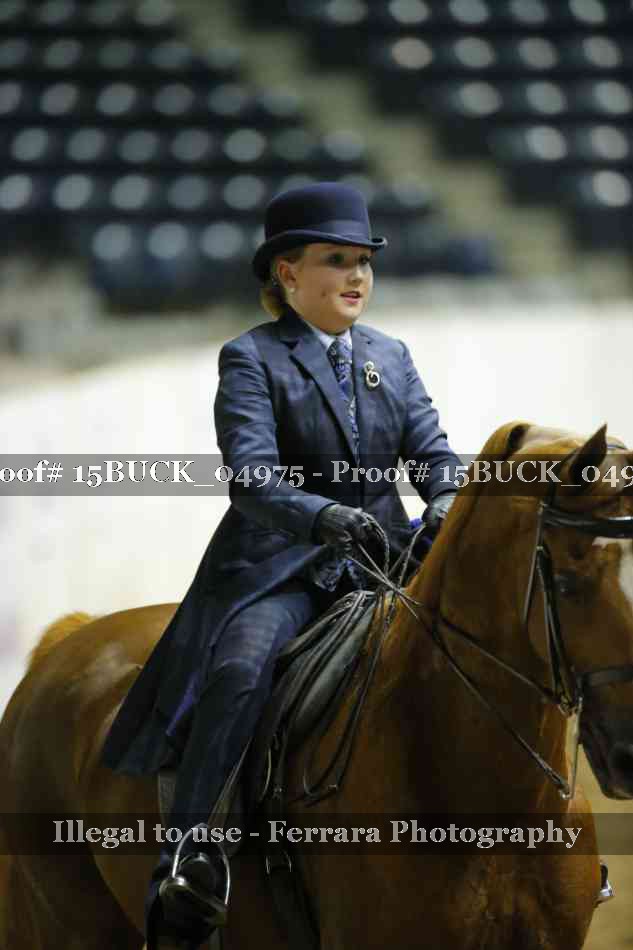 Proof 15BUCK_04975