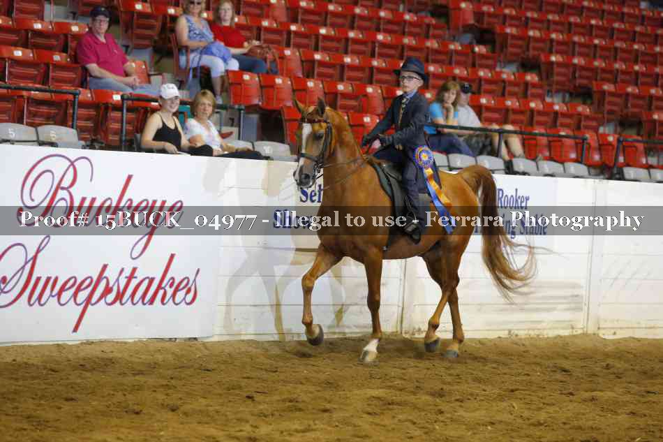Proof 15BUCK_04977
