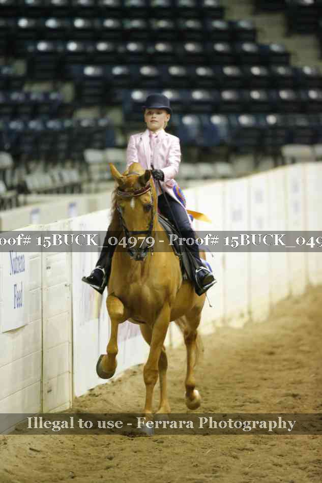 Proof 15BUCK_04979