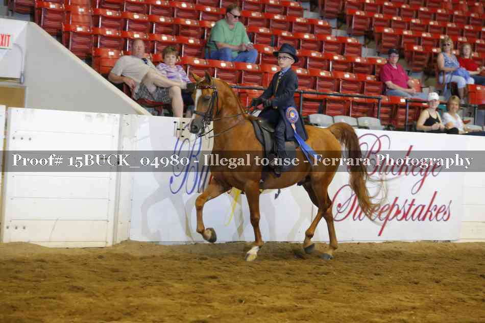 Proof 15BUCK_04980