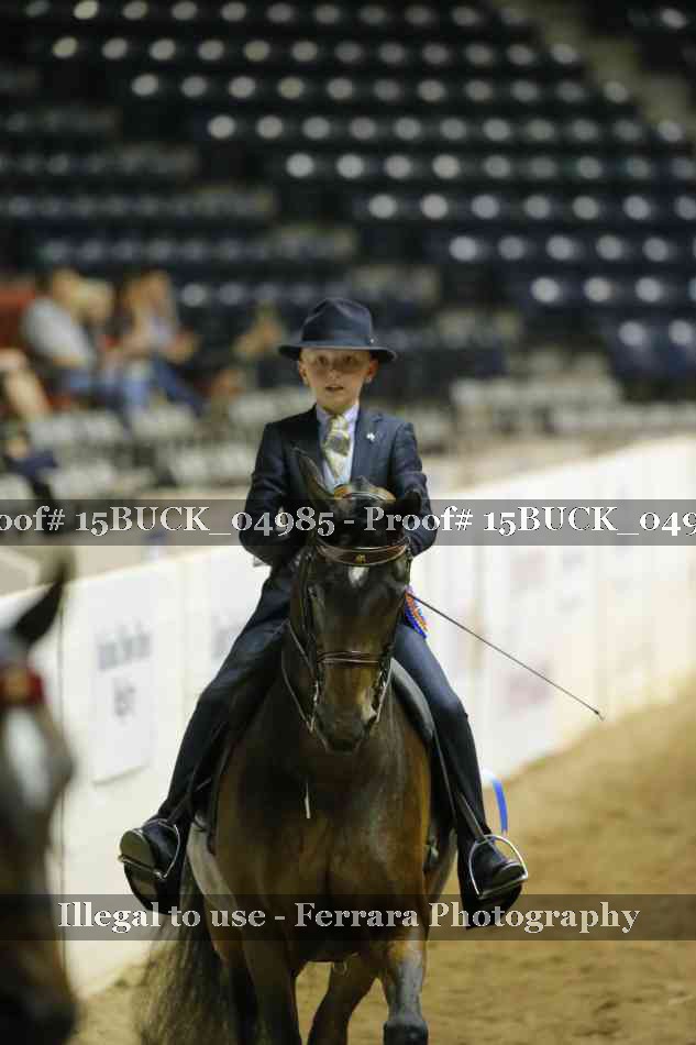 Proof 15BUCK_04985