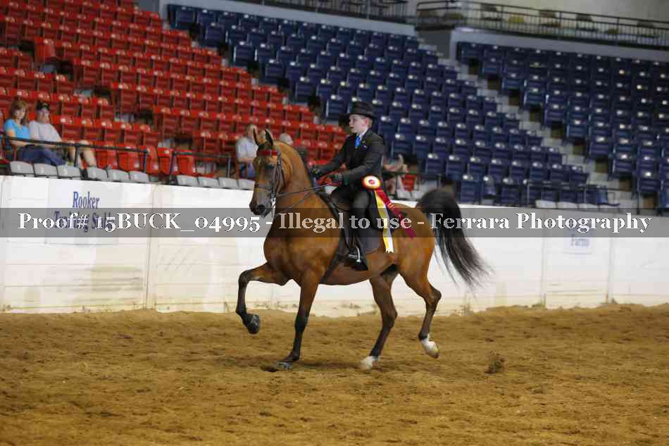 Proof 15BUCK_04995