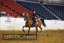 15BUCK_04995 proof