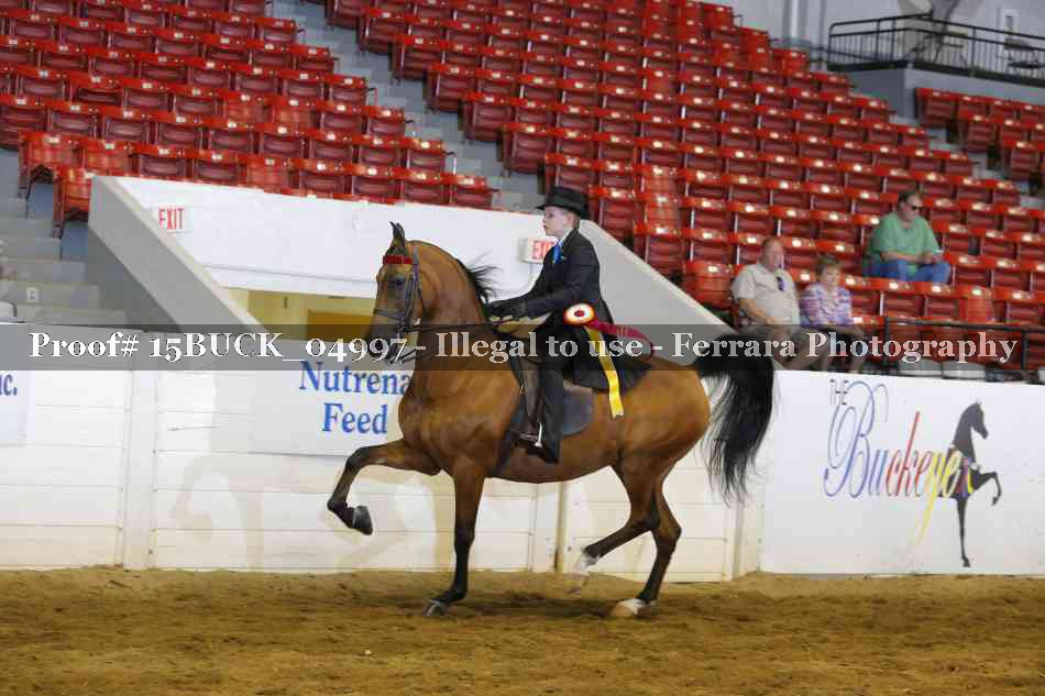 Proof 15BUCK_04997