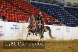 15BUCK_05004 proof