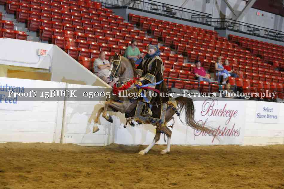 Proof 15BUCK_05005