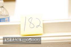 15BUCK_05006 proof