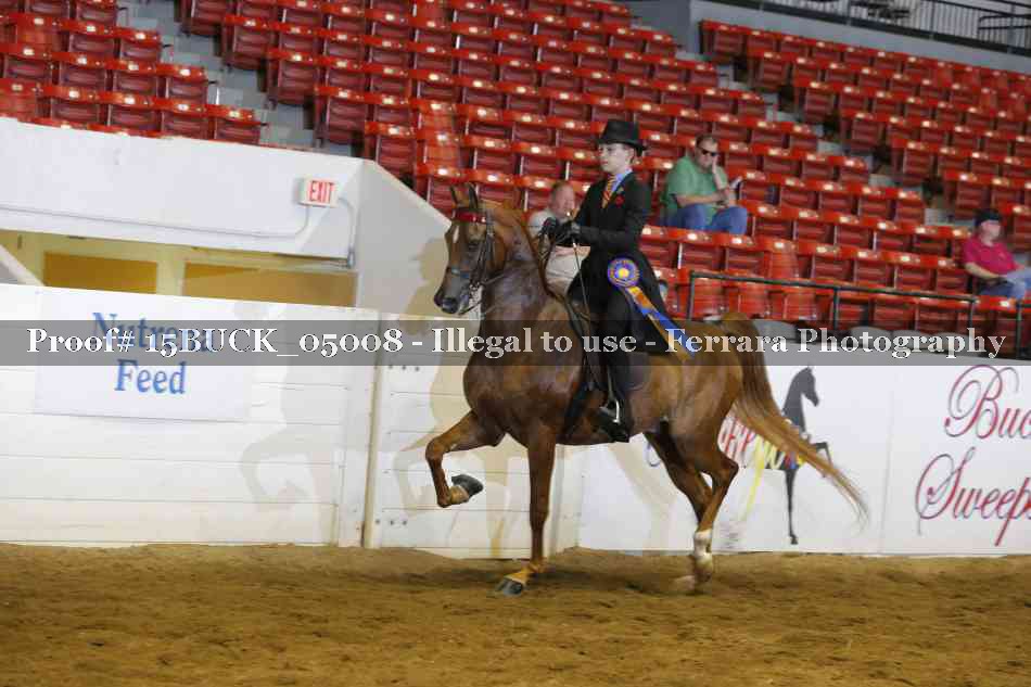 Proof 15BUCK_05008
