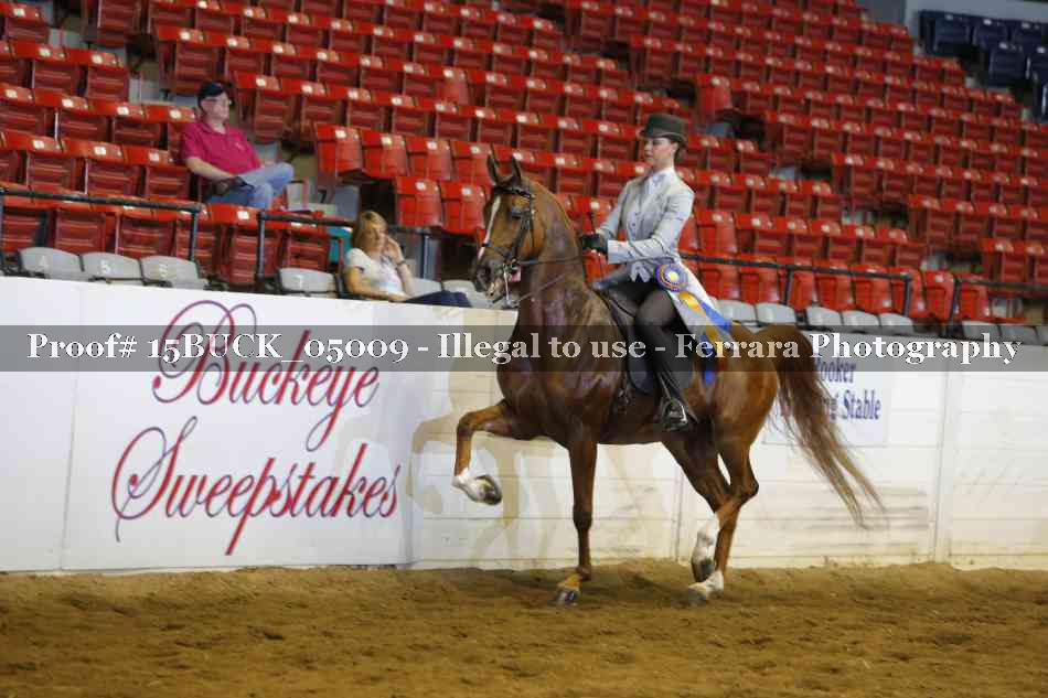 Proof 15BUCK_05009