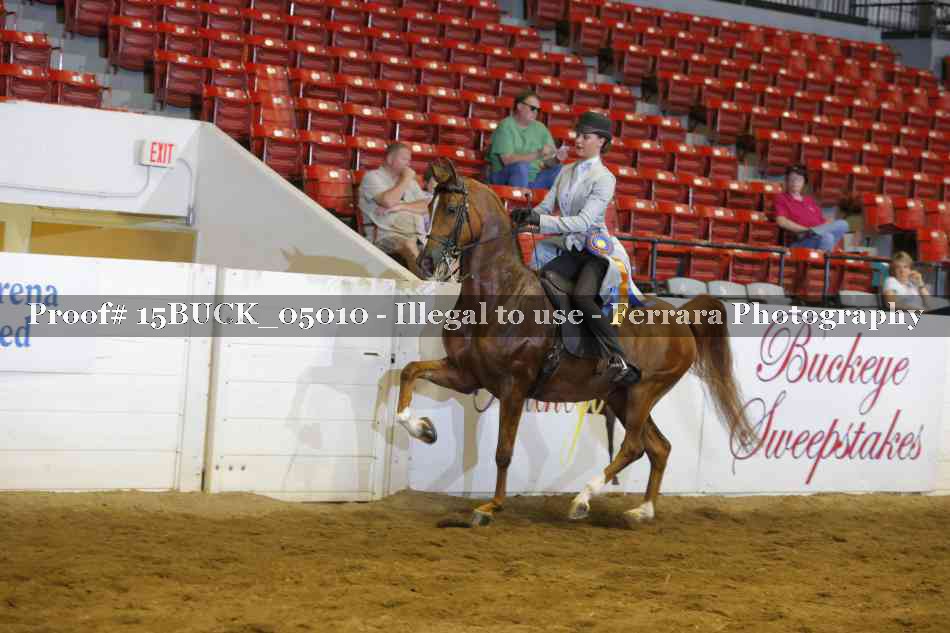 Proof 15BUCK_05010