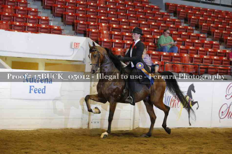 Proof 15BUCK_05012