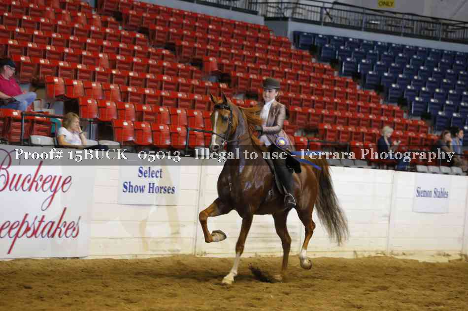 Proof 15BUCK_05013
