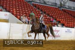 15BUCK_05014 proof