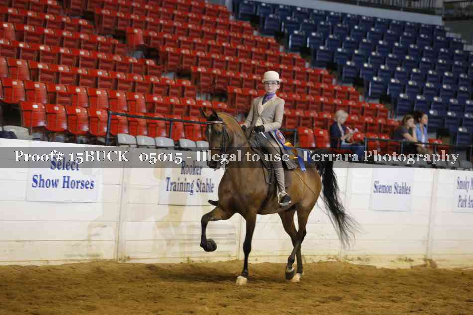 Proof 15BUCK_05015