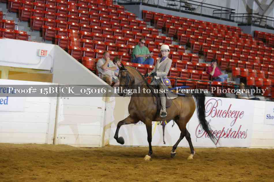 Proof 15BUCK_05016