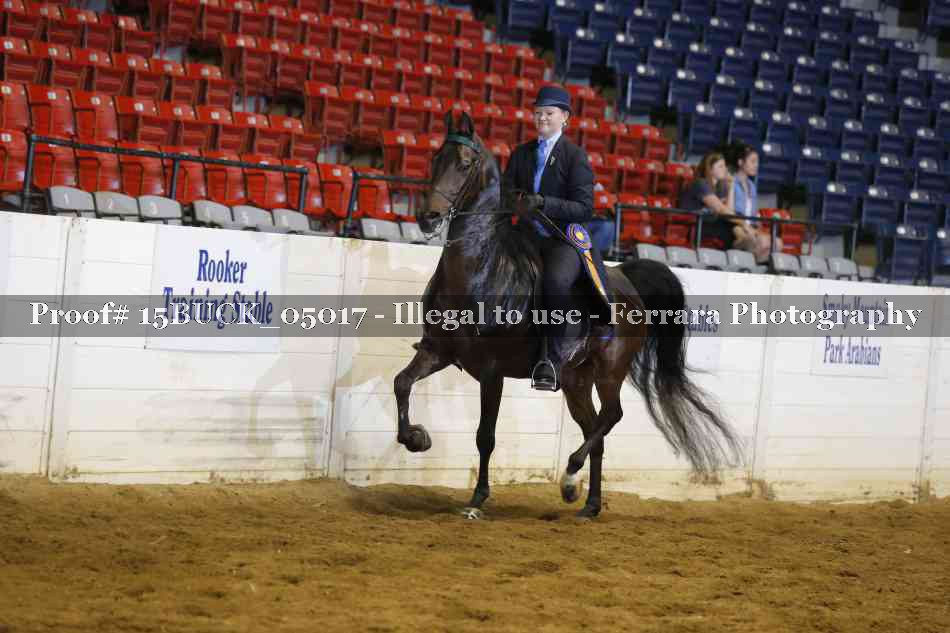 Proof 15BUCK_05017