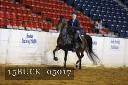15BUCK_05017 proof