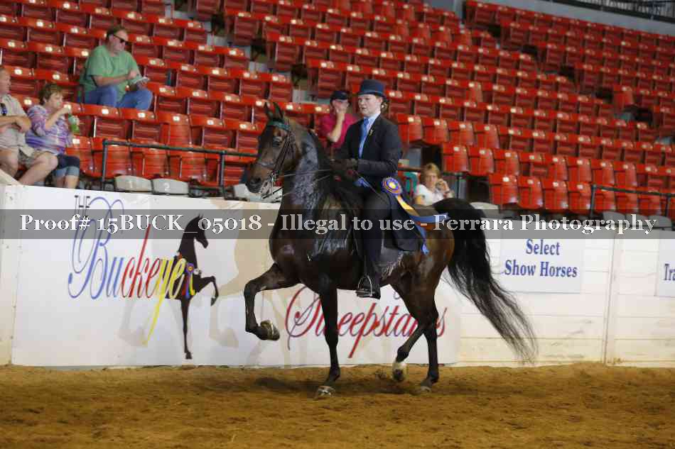 Proof 15BUCK_05018