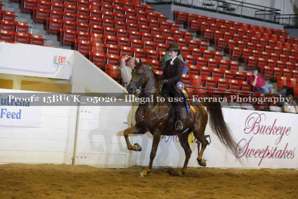 Proof 15BUCK_05020