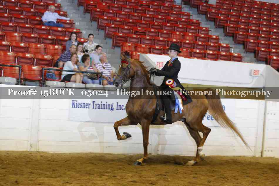 Proof 15BUCK_05024