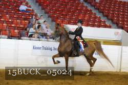15BUCK_05024 proof