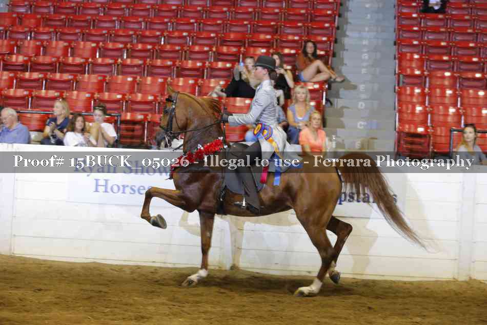 Proof 15BUCK_05026
