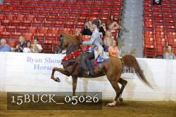 15BUCK_05026 proof