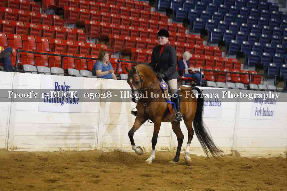 Proof 15BUCK_05028