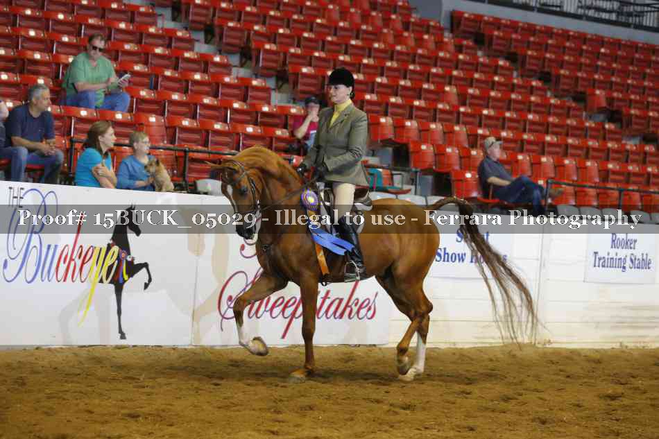 Proof 15BUCK_05029