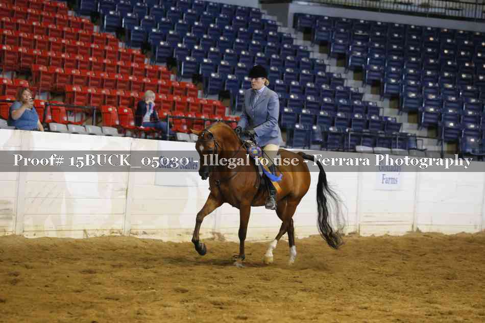Proof 15BUCK_05030