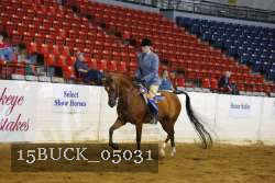 15BUCK_05031 proof
