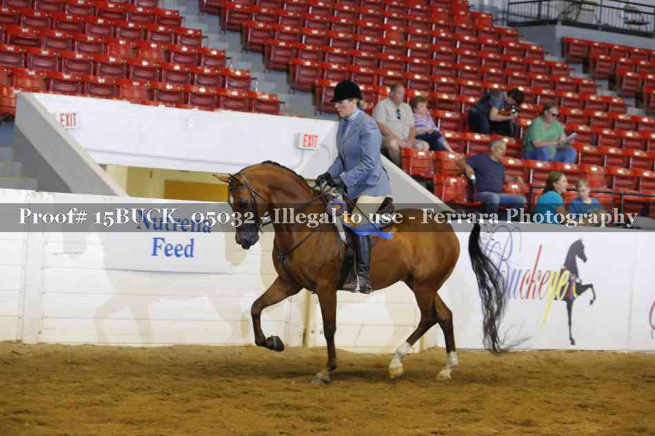 Proof 15BUCK_05032