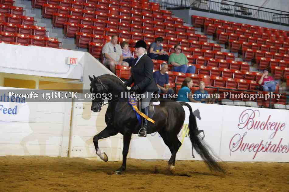 Proof 15BUCK_05033