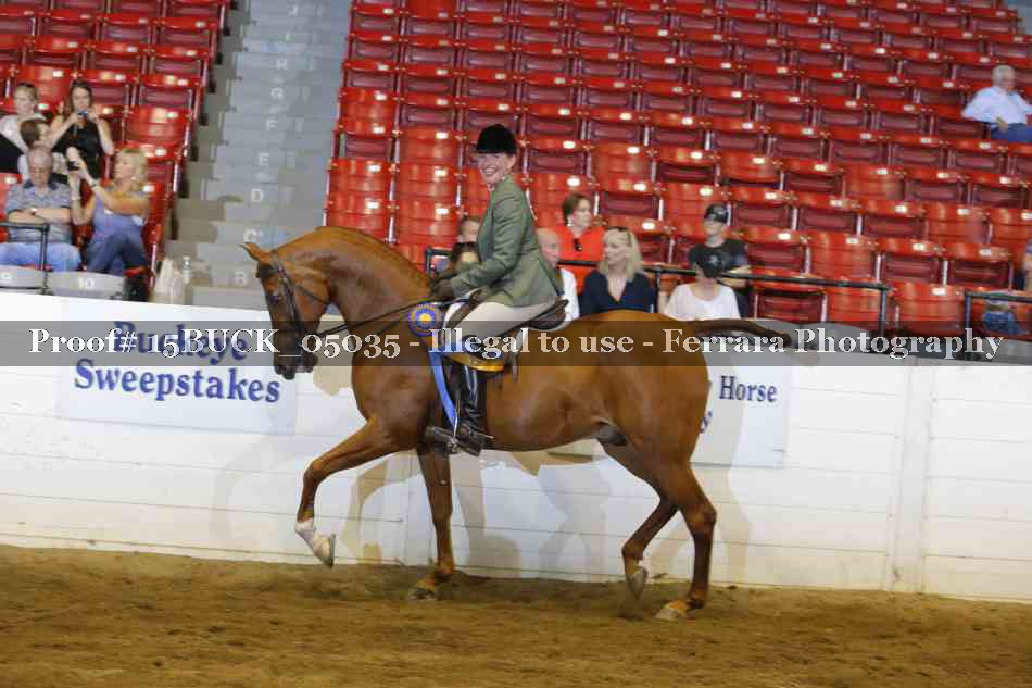 Proof 15BUCK_05035